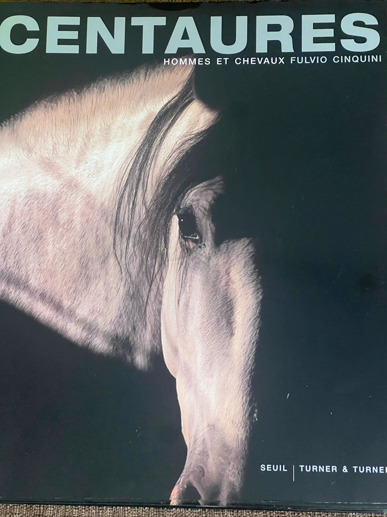 Centaures Men and Horses – photo 7